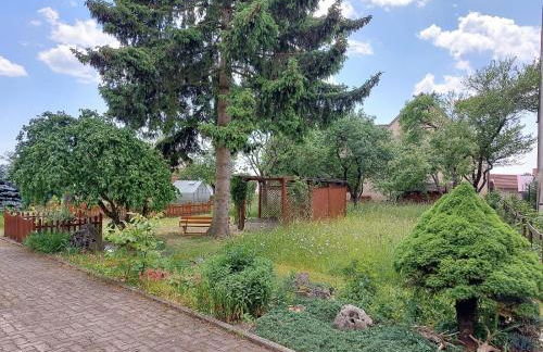 Ferienwohnung Immergrün - Foto 45