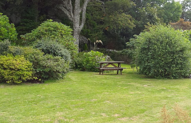 Cragowlet House East - Photo 25