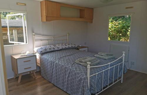 Meadow Bluebird - Foto 11