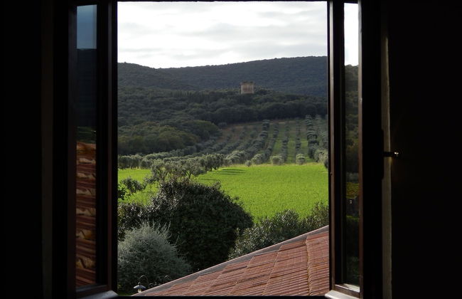 Tenuta Uccellina - Foto 40