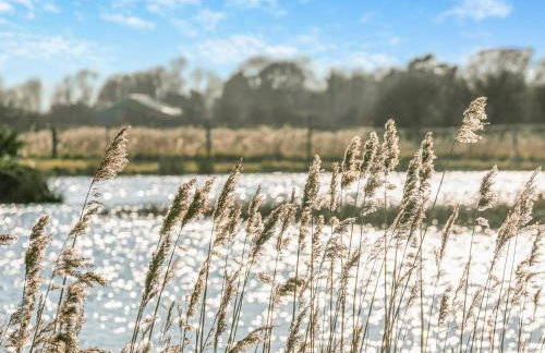 Lodge 2 - Uk48681 - Photo 22