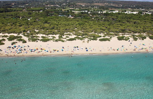 Le-c336-sp2140at - Villa Sanssouci 8 - Foto 12