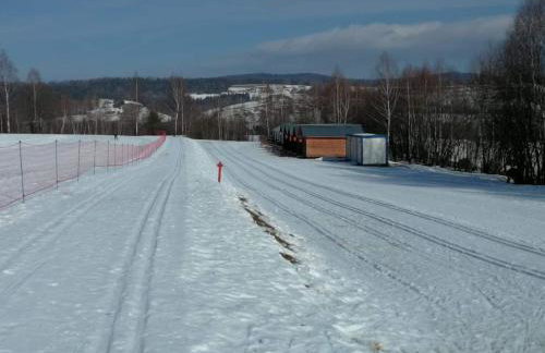 Miętowy Anioł - Foto 79