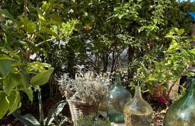 Apartments Mare - Photo 23