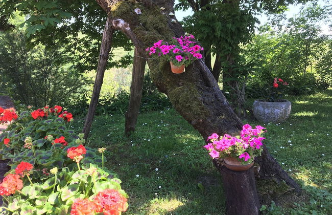 Cascina Il Bricco - Photo 43