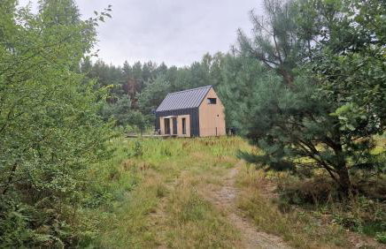 Sasinko Mini - Foto 22