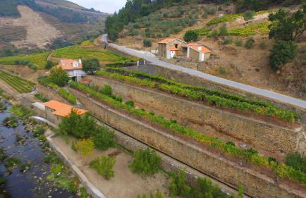 Quinta de Recião - Foto 56