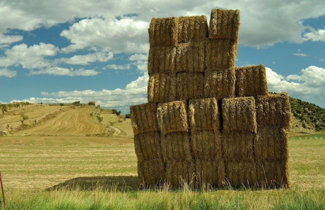 Alojamientos rurales Angelita - Foto 46