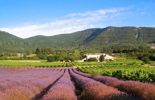 Gîtes du Château d'Alençon - Photo 1
