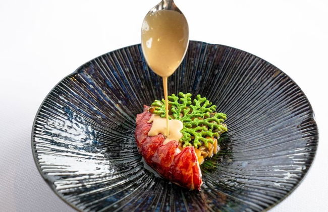 Himmerland Resort Cottages - Foto 50