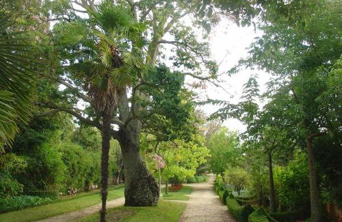 HOUSE 4U - Modern Mezzanine Apartment with AC, Wi-Fi and Parking - Abrantes - Foto 18