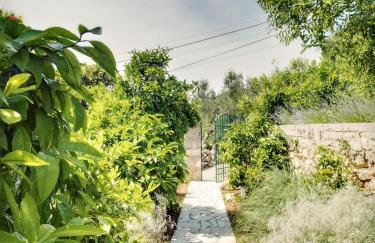 Apartmani Ela - Photo 10