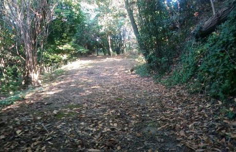 Casolare Toscano - Foto 53