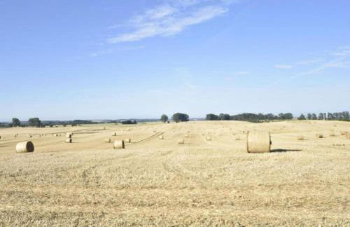 Wohnung nahe Ostsee Kühlungsborn - Foto 37
