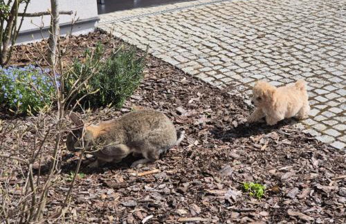 Lubie Apartments Lubieszewo - Foto 64