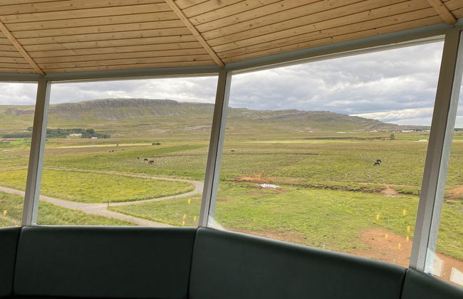 Laugavellir House and Tower Suite - Foto 23