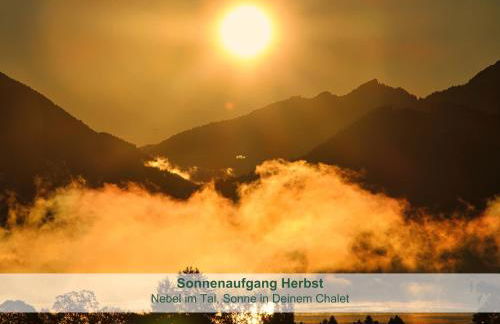 Chalet - Ferienwohnungen - Biohof Stöger - Panoramasüdbalkon - grandiose Aussicht auf See, Berge und Schloss Neuschwanstein - Foto 26