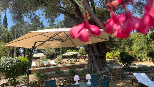 L’oléado - Foto 3