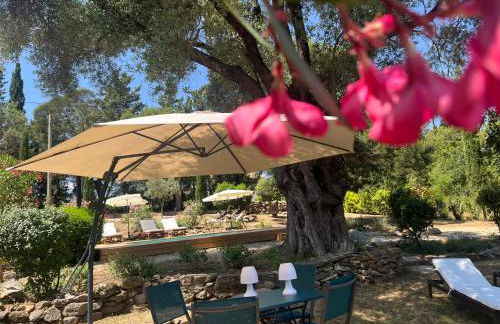 L’oléado - Foto 3