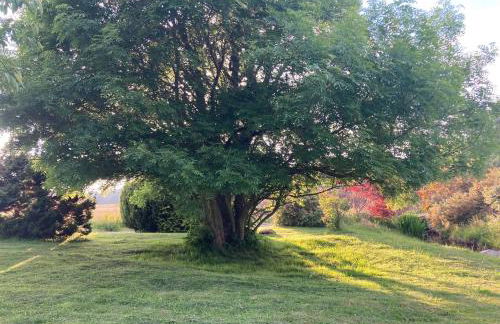 Clashmore Wood - Foto 23