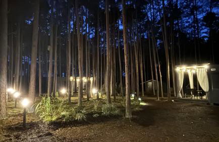 Las Biala's - Domki z sauną i jacuzzi w Puszczy Noteckiej - Tylko dla dorosłych - Foto 43