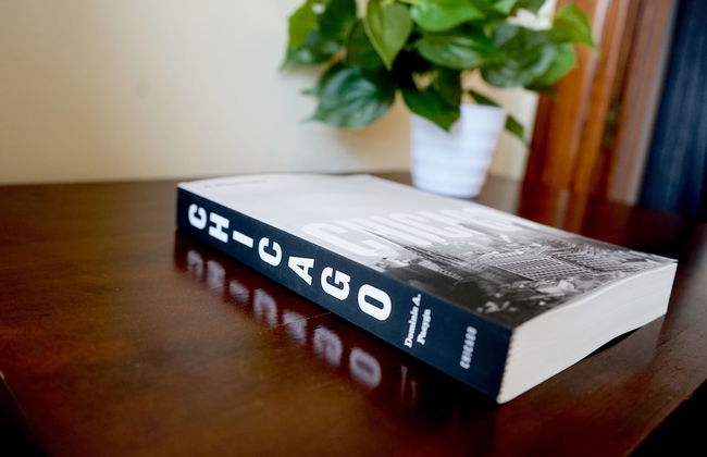 Creative Chicago Charm in Wicker Park - Foto 13