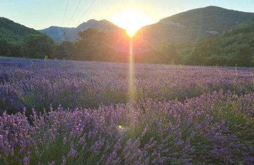 Camin'hôtes Gîte Spa Drôme "Lavande" - Photo 15