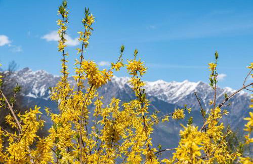 Georgenhöhe - Photo 69