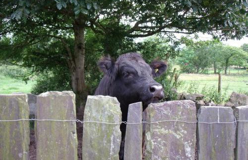 Perthi Uchaf - Foto 19