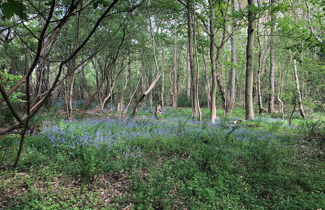 Ireby House - Photo 7