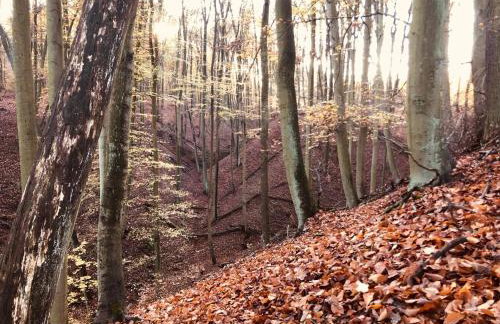 Ceglany Domek w Gryżynie - Foto 25