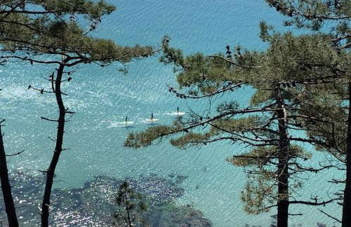 Un Balcon sur la Mer - Photo 35