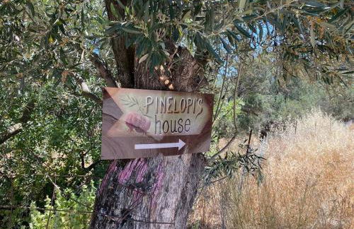 Pinelopis House, Skala Sikamineas, Molivos, Mytilene - Photo 21