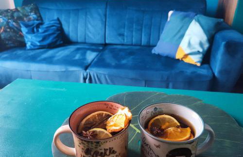 Lawendowo- sauna, jacuzzi, domki w ogrodzie i apartamenty w kamienicy - Photo 33