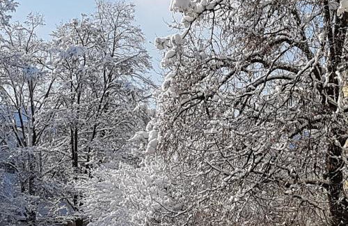 Staś-przy szkole nr3 w Skawie - Foto 13