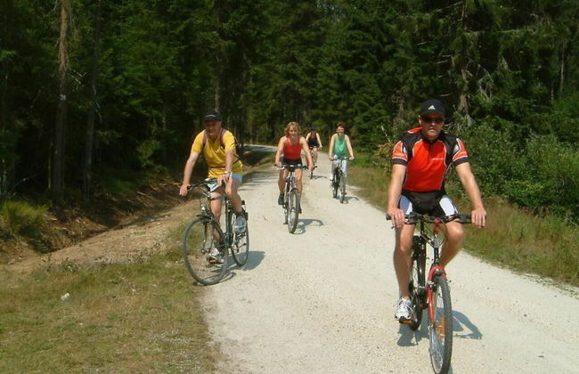 Ferienhaus Mitterdorf - Foto 20