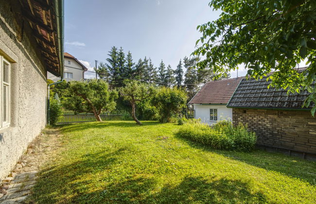 Praskolesy - Foto 22