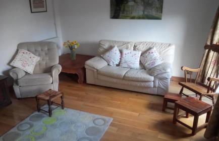 The Old Swan - Photo 14