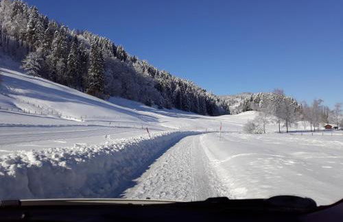 Haus Ritter - Foto 14