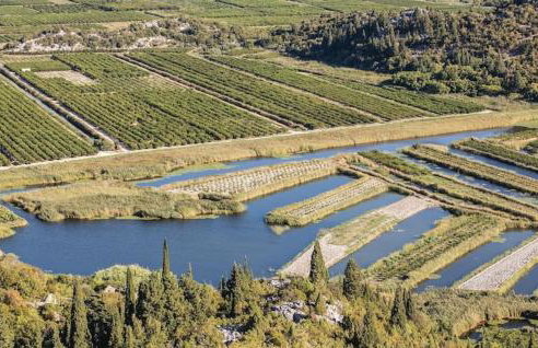 Baćina Lakes - Apartment Jelena - Foto 45