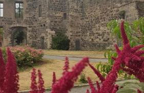 Ferienwohnung Am Geysirzentrum - Foto 50