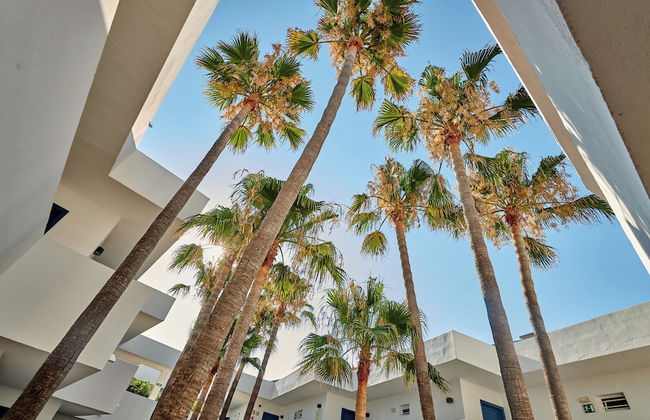 Hipotels Apartamentos Cala Bona - Photo 27