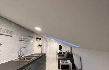 Apartments Krapinske Toplice Krtak Biba - Foto 24