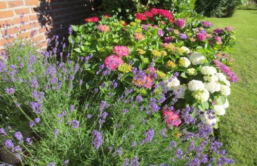 Luft und Meer 4**** Ferienwohnung - Foto 30