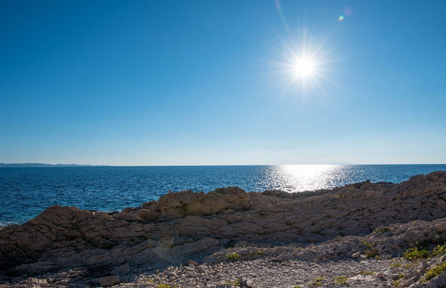 Country Home Dingač - Photo 26