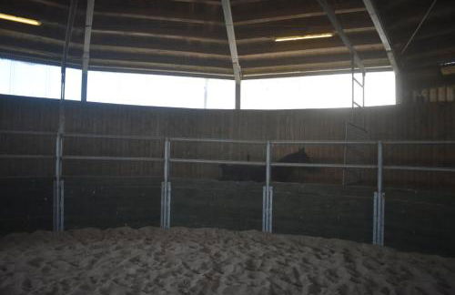 Idylle auf dem Reiterhof bei Husum - Foto 24