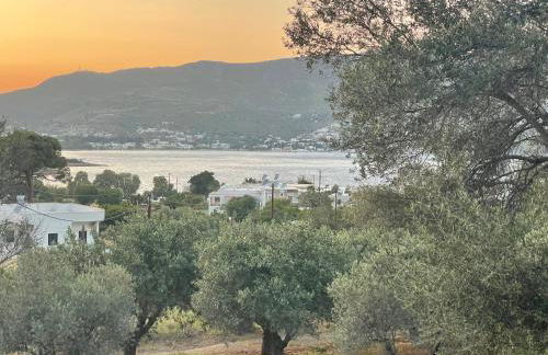 The Velanidies - Οι Βελανιδιές - Foto 11