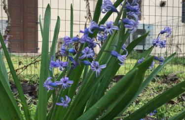 Appartamento in Cascina Cortazza - Foto 28