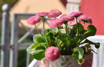 Wohnen mit Herz - Foto 20