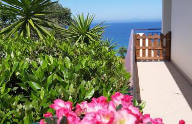 Villa Nausica - Foto 18